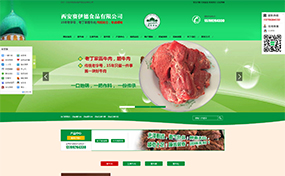 濟寧哪家公司做營銷型網站好-濟寧食品行業官網-濟寧網站建設